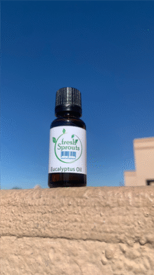 Eucalyptus Oil 25ml