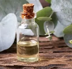Alternative view of Eucalyptus Oil 25ml