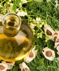 Alternative view of Moringa Oil 50ml